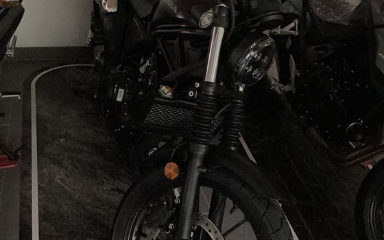 Neufahrzeug Honda CL500 - Bild 3