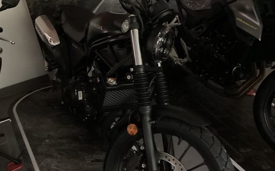 Neufahrzeug Honda CL500 - Bild 5