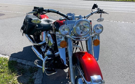 Gebrauchtmotorrad Harley-Davidson Softail Heritage Classic FLSTC - Bild 6 Gebrauchtmotorrad Harley-Davidson Softail Heritage Classic FLSTC - Bild 6