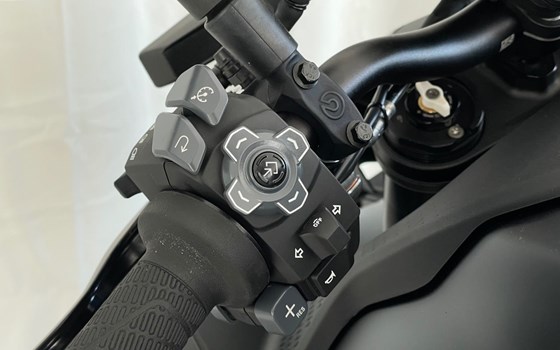 Neufahrzeug KTM 1390 Super Duke R - Bild 10