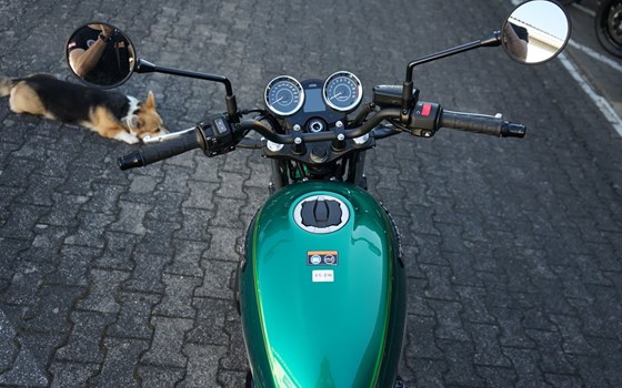 Gebrauchtmotorrad Kawasaki Z650 RS - Bild 9