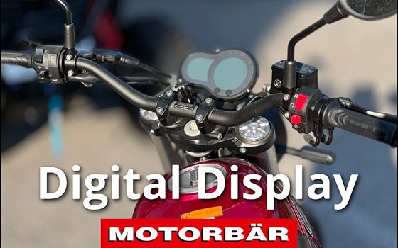 Neufahrzeug Benelli Leoncino 500 Trail - Bild 3