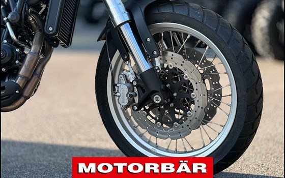 Neufahrzeug Benelli Leoncino 500 Trail - Bild 6