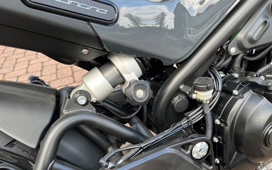 Neufahrzeug Benelli Leoncino 500 - Bild 11