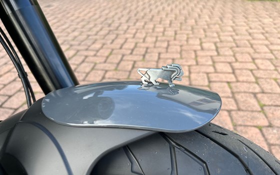 Neufahrzeug Benelli Leoncino 500 - Bild 2