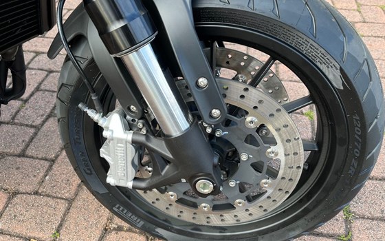 Neufahrzeug Benelli Leoncino 500 - Bild 3