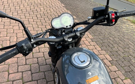 Neufahrzeug Benelli Leoncino 500 - Bild 7