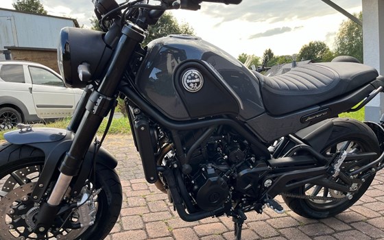 Neufahrzeug Benelli Leoncino 500 - Bild 8