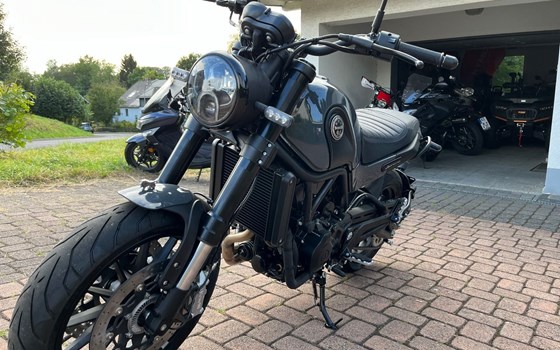 Neufahrzeug Benelli Leoncino 500 - Bild 9