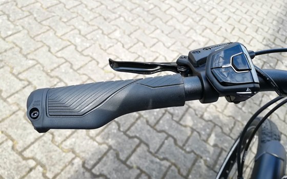 Neufahrzeug GASGAS G Trekking - Bild 10