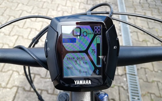 Neufahrzeug GASGAS G Trekking - Bild 11