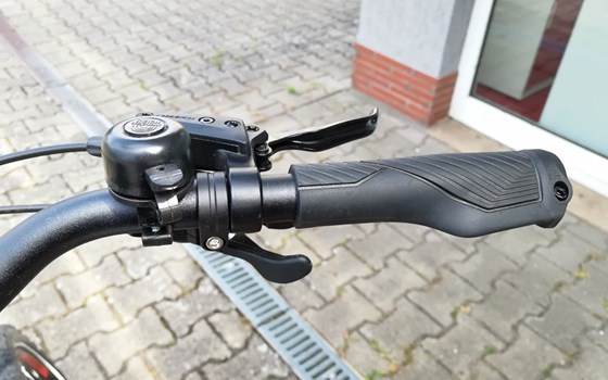 Neufahrzeug GASGAS G Trekking - Bild 12