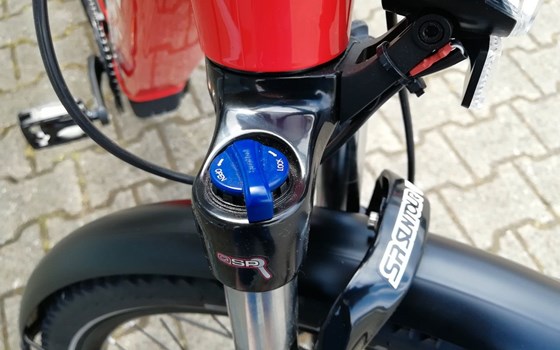 Neufahrzeug GASGAS G Trekking - Bild 15