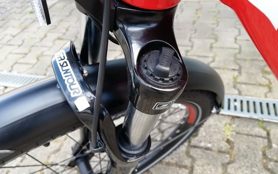 Neufahrzeug GASGAS G Trekking - Bild 16