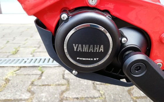 Neufahrzeug GASGAS G Trekking - Bild 18