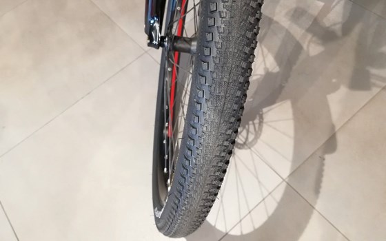 Neufahrzeug GASGAS G Trekking - Bild 2