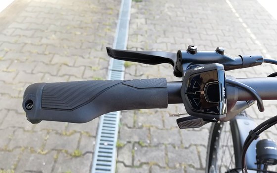 Neufahrzeug GASGAS G Trekking - Bild 10