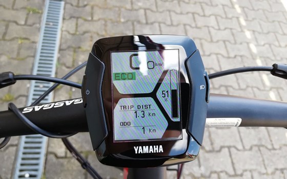 Neufahrzeug GASGAS G Trekking - Bild 11