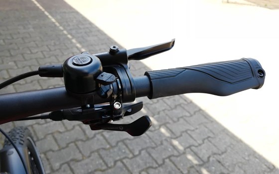 Neufahrzeug GASGAS G Trekking - Bild 12