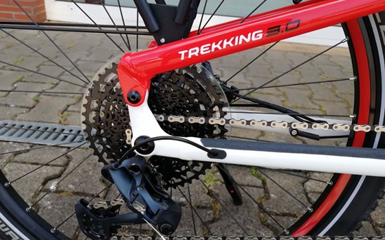 Neufahrzeug GASGAS G Trekking - Bild 17