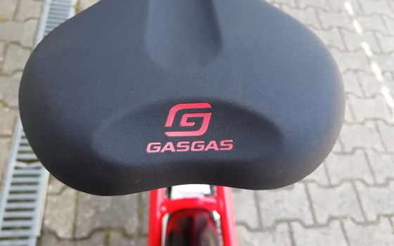 Neufahrzeug GASGAS G Trekking - Bild 18