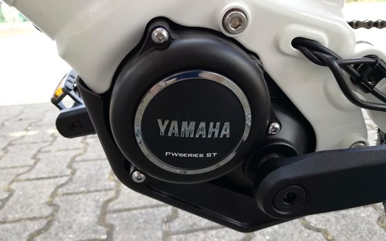 Neufahrzeug GASGAS G Trekking - Bild 19