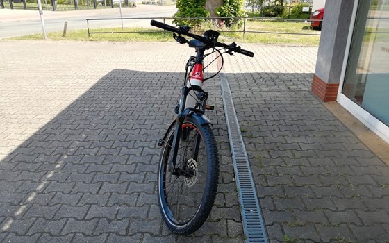 Neufahrzeug GASGAS G Trekking - Bild 7