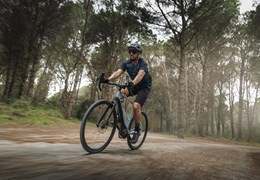 Neumotorrad Yamaha Wabash RT