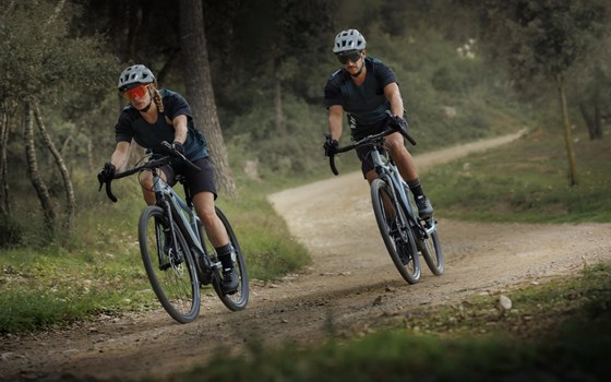 Neufahrzeug Yamaha Wabash RT - Bild 3