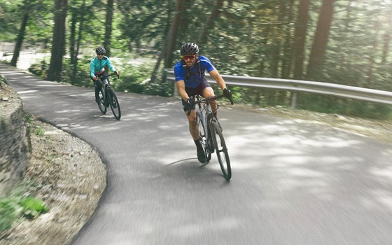 Neufahrzeug Yamaha Wabash RT - Bild 7