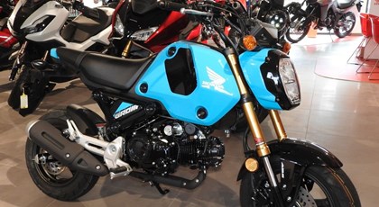 Neumotorrad Honda MSX125 Grom