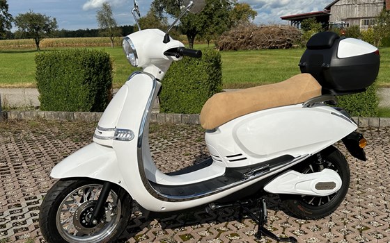 Neufahrzeug Ecooter Wast-PUSA - Bild 2