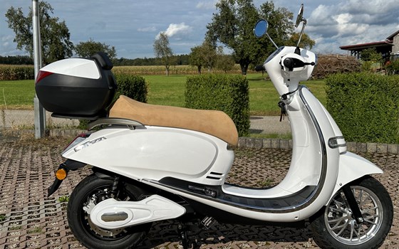 Neufahrzeug Ecooter Wast-PUSA - Bild 1