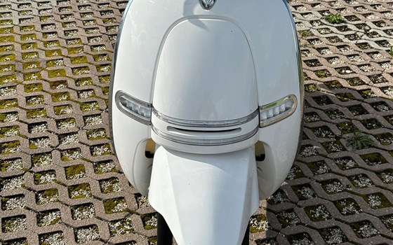 Neufahrzeug Ecooter Wast-PUSA - Bild 7