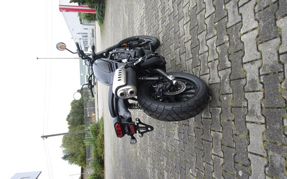 Neufahrzeug Honda CL500 - Bild 3