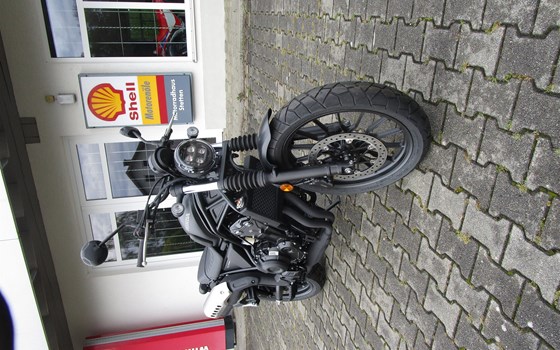 Neufahrzeug Honda CL500 - Bild 5