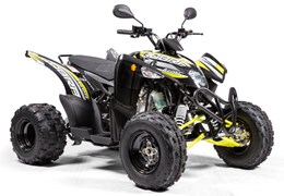 Neumotorrad Aeon Cobra 424 SX Enduro