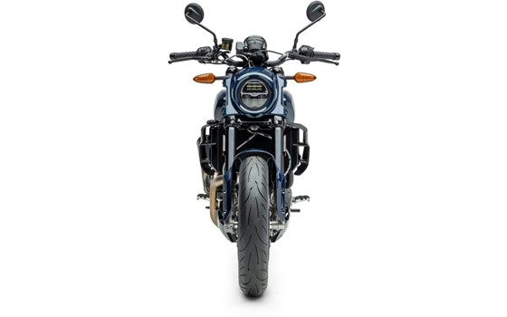 Neufahrzeug Indian FTR X 100% R CARBON - Bild 4 Neufahrzeug Indian FTR X 100% R CARBON - Bild 4