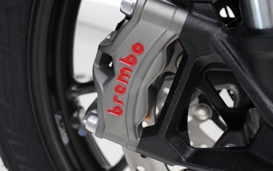 Motorrad Occasion Triumph Tiger 900 GT Pro - Bild 7