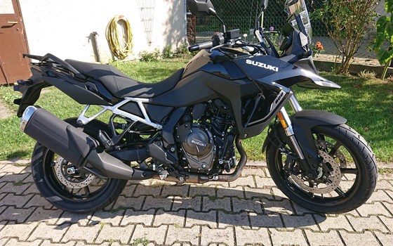 Neufahrzeug Suzuki V-Strom 800 - Bild 1