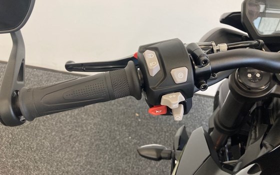 Neufahrzeug Triumph Street Triple 765 RS - Bild 20 Neufahrzeug Triumph Street Triple 765 RS - Bild 20