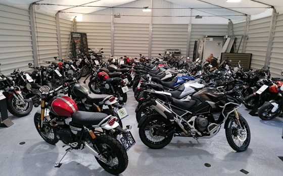 Neufahrzeug Triumph Scrambler 900 - Bild 10