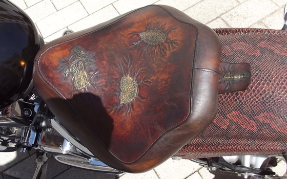 Gebrauchtmotorrad Yamaha XVS 1300 Custom - Bild 8