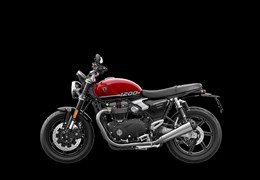 Neumotorrad Triumph Speed Twin 1200