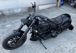 Gebrauchte Harley-Davidson Softail Custom FXSTC