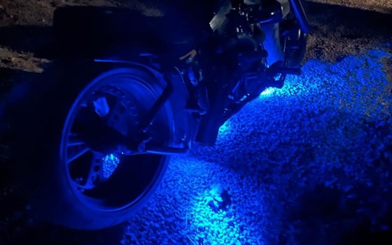 Gebrauchtmotorrad Harley-Davidson Softail Custom FXSTC - Bild 3