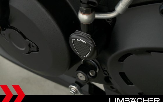 Gebrauchtmotorrad Ducati Diavel Carbon - Bild 19