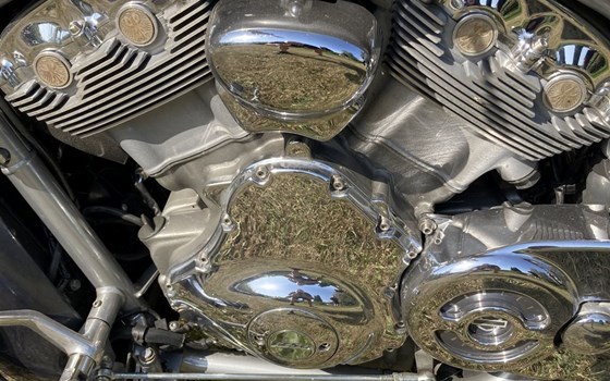 Gebrauchtmotorrad Harley-Davidson V-Rod VRSCAW - Bild 8