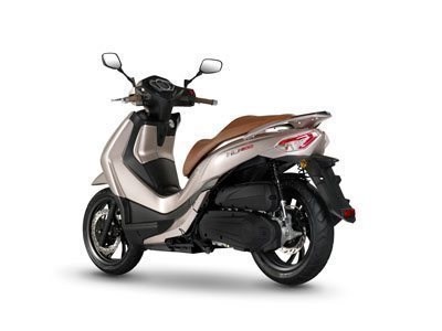 Neufahrzeug Sym HD 300 - Bild 16