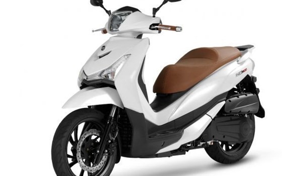 Neufahrzeug Sym HD 300 - Bild 18